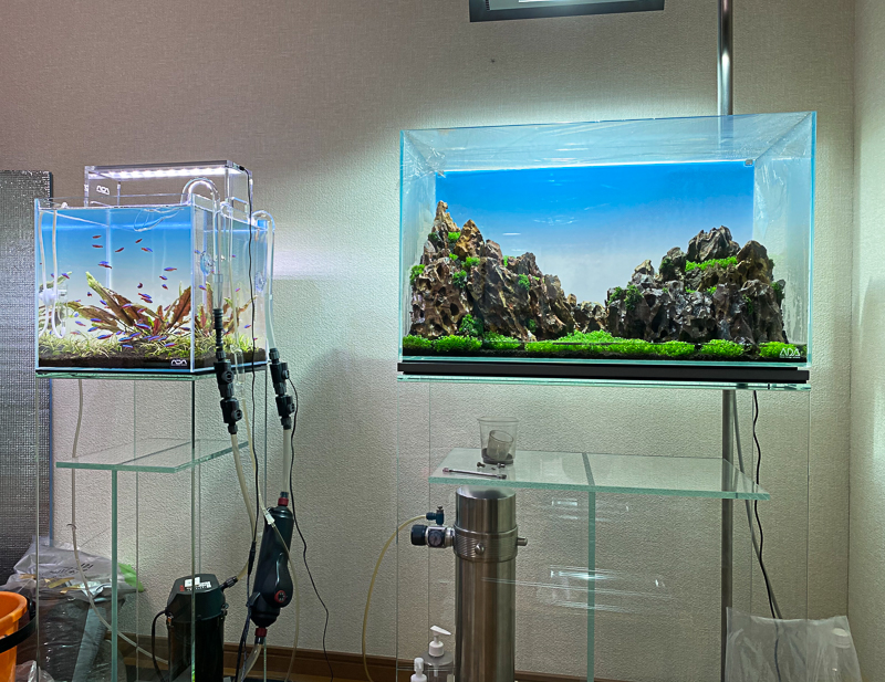 Ada ライトスクリーン60 レビュー Aquarium Blog