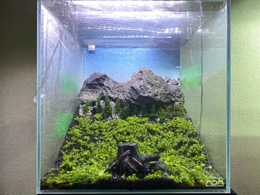 斜形水槽 アクアリウム 等に
