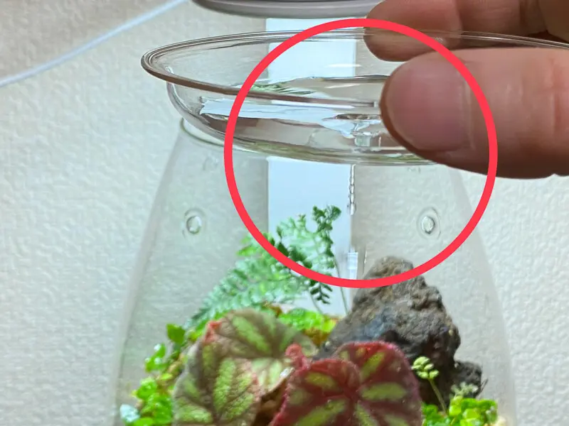 ガラスポット シズク レビュー(DOOA GLASS POT SHIZUKU