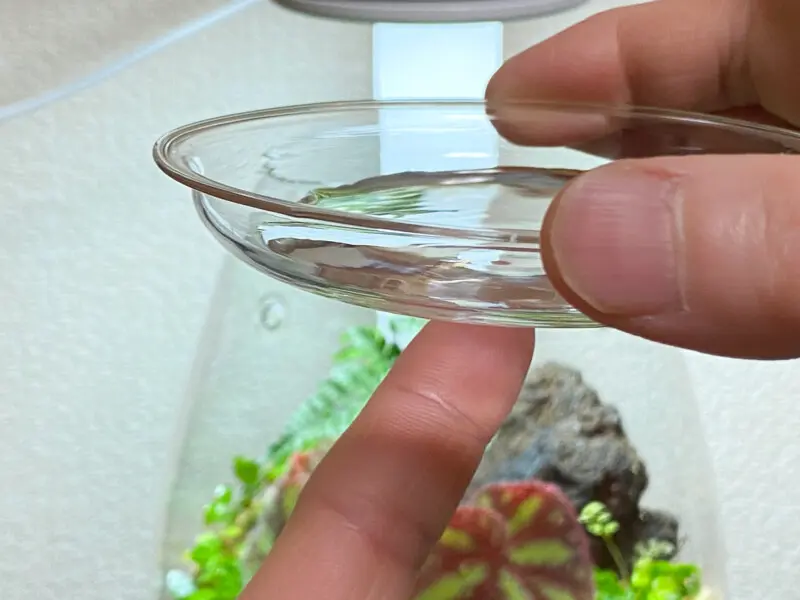 ガラスポット シズク レビュー(DOOA GLASS POT SHIZUKU)ミニパルダリウム作り - Aquarium Blog