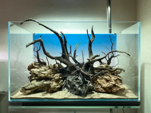 黒い流木 水槽用レイアウト Black-Branchwood【30㎝キューブ水槽】シンプルな黒い枝流木