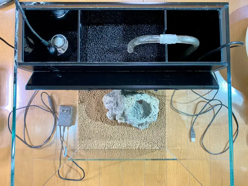 DOOA システムテラ30 レビュー テラリウムレイアウト - Aquarium Blog