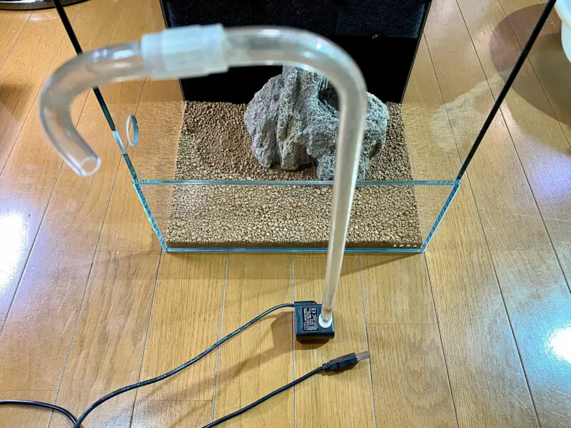 DOOA システムテラ30 レビュー テラリウムレイアウト - Aquarium Blog