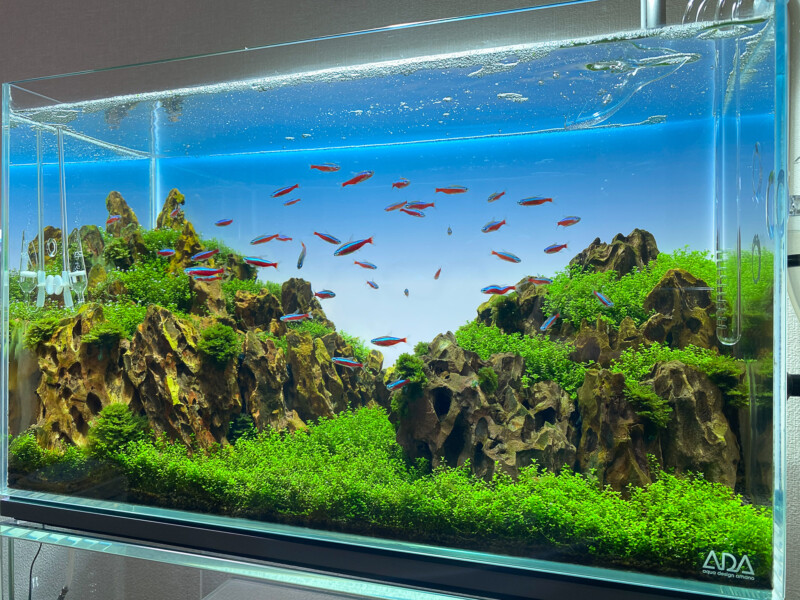 ライトスクリーン30 レビュー！ - Aquarium Blog