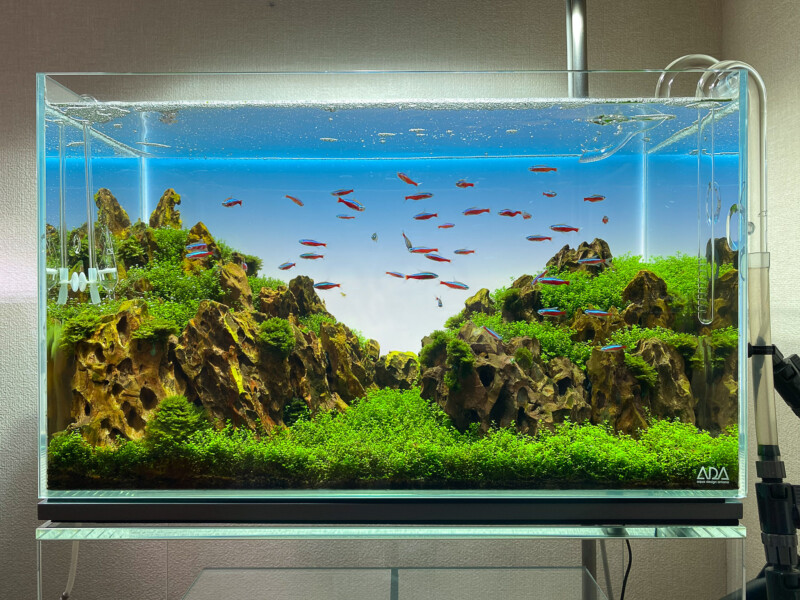 ADA ライトスクリーン60魚用品・水草