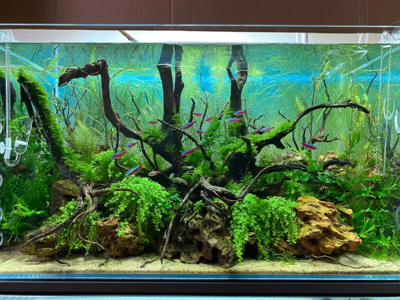 ADA ライトスクリーン 60×36 - 魚用品/水草