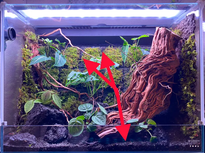 パルダリウムレイアウト！森の奥地編 - Aquarium Blog