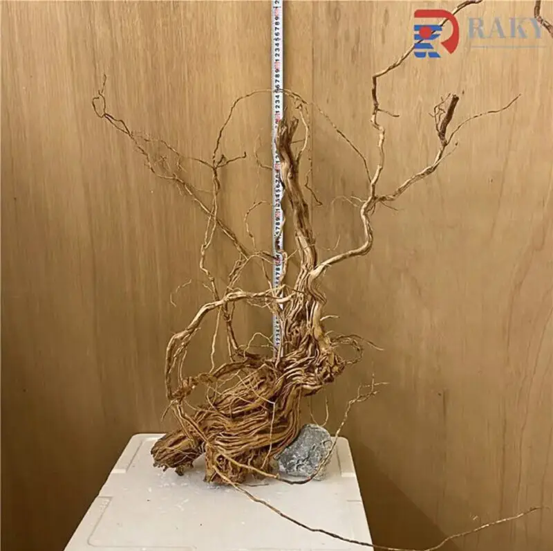 パルダリウム・アクアリウム・ガーデニング向け 特大穴空き風化流木（約70cm）